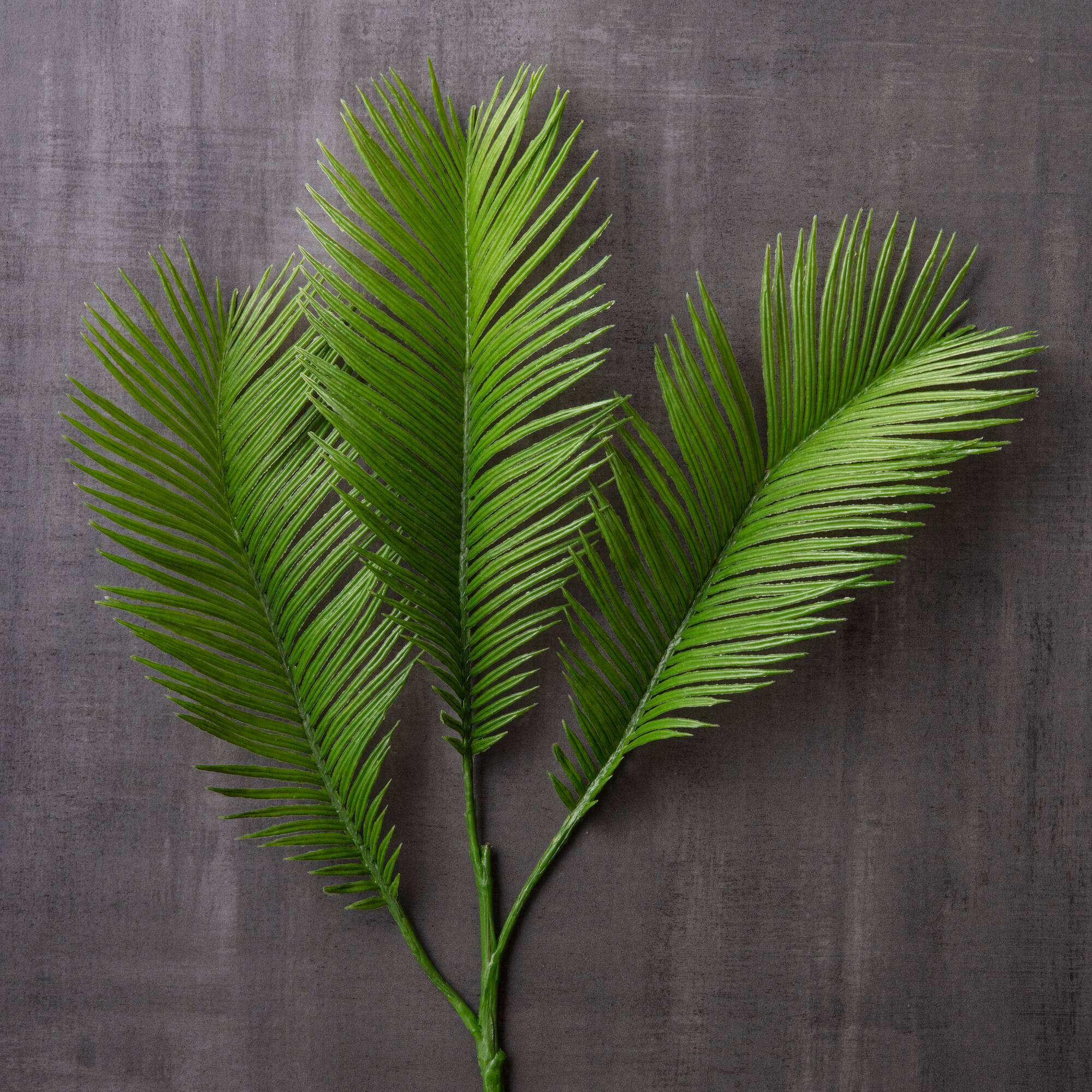 Green Sago Palm Stem by Ashland®
